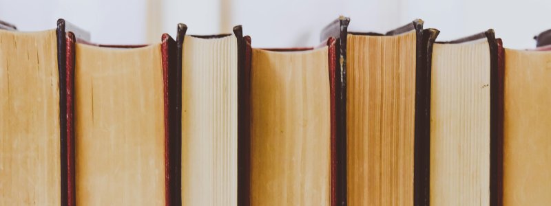 HR and team management Lexicon