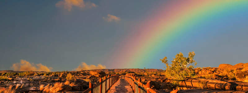 A strong mission statement, a robust culture : the keys of mission-driven company's performance