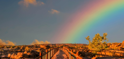 A strong mission statement, a robust culture : the keys of mission-driven company's performance
